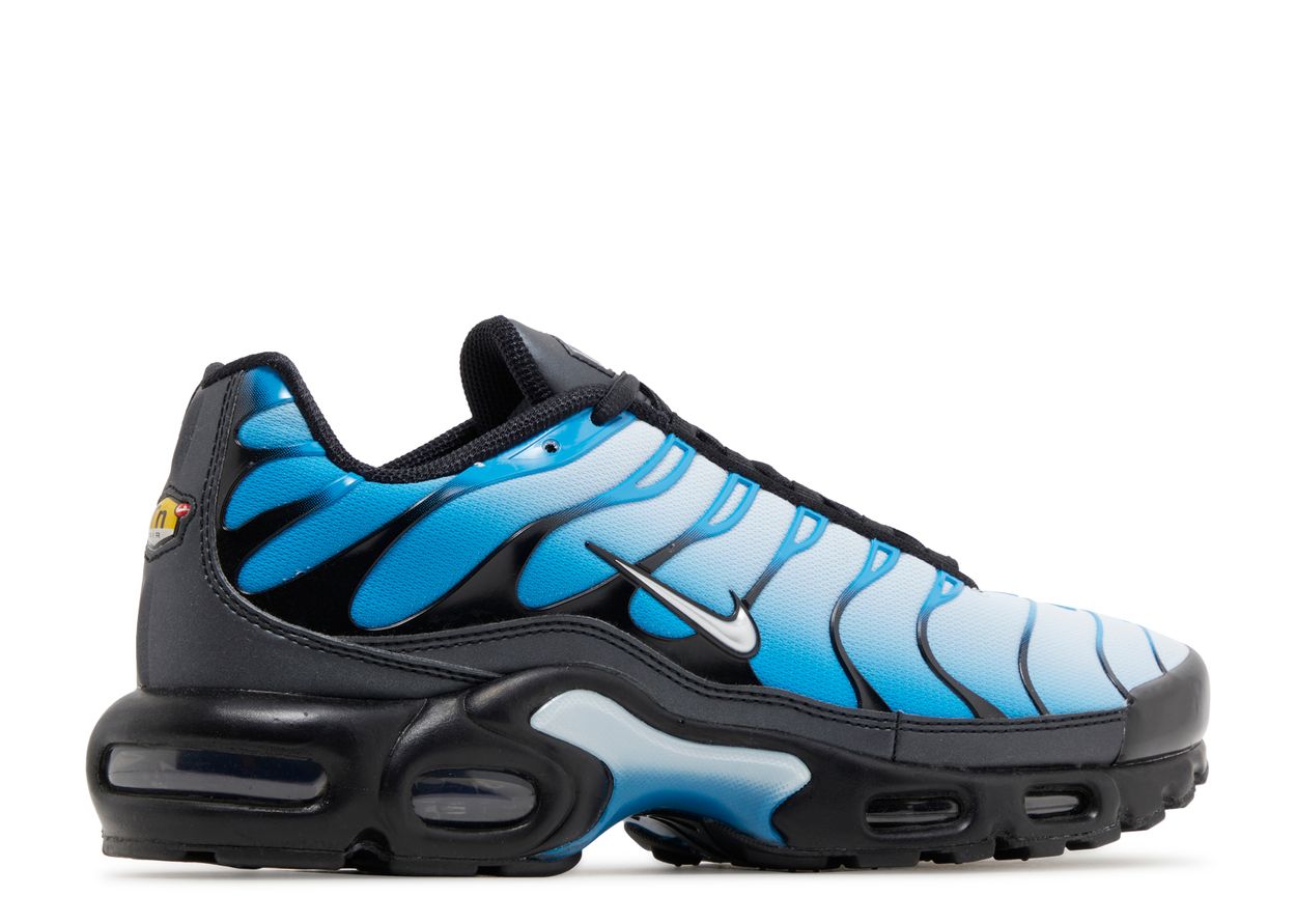 Nike Air Max Plus TN "Neptune" (Men's)