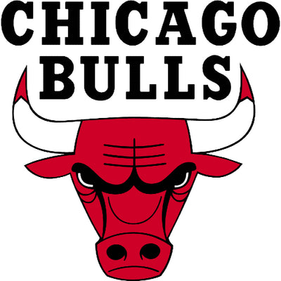 Chicago Bulls Jerseys & Merchandises