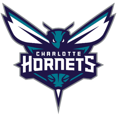 Charlotte Hornets Jerseys & Merchandises