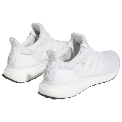 Adidas Ultraboost 1.0 (Men's)